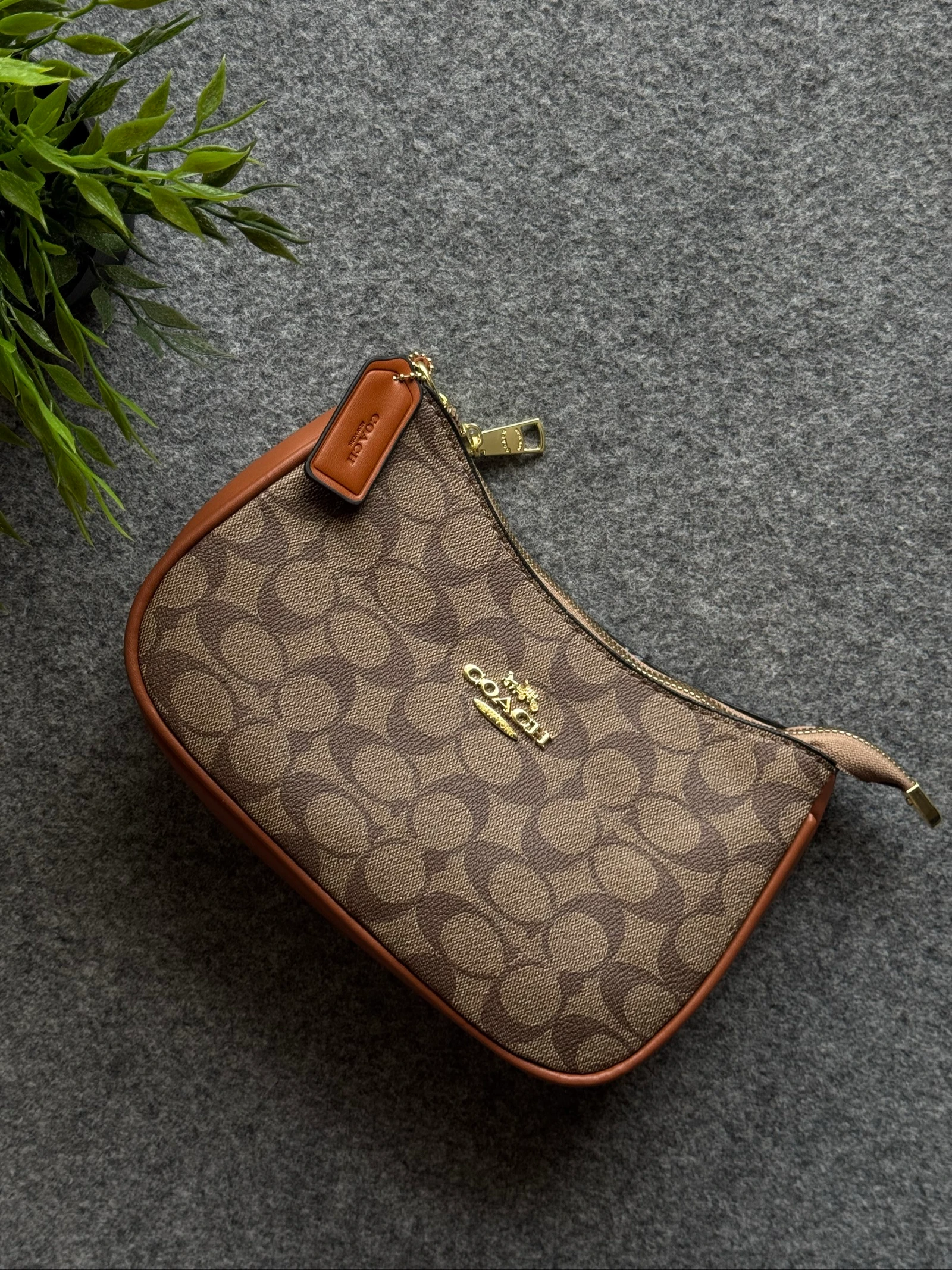Mala Coach 